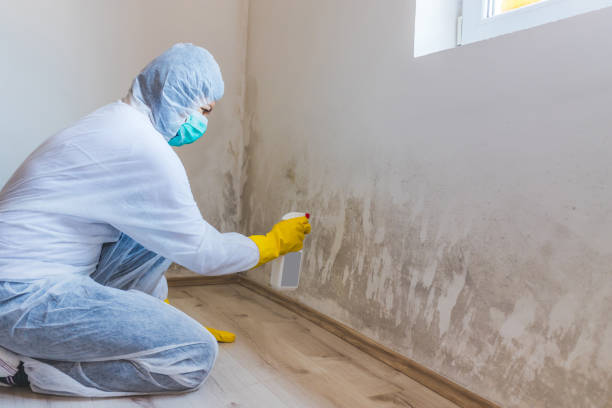 Licensed Crawl Space Mold Removal service in Fannettsburg, PA - WQB Mold Removal